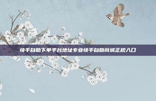 快手自助下单平台地址专业快手自助商城正规入口
