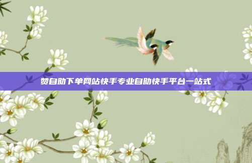 赞自助下单网站快手专业自助快手平台一站式