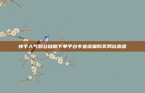 快手人气粉丝自助下单平台专业流量购买网站靠谱