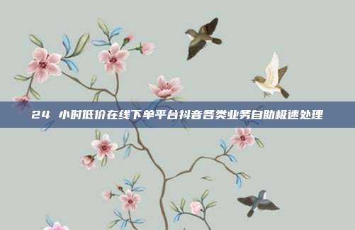 24 小时低价在线下单平台抖音各类业务自助极速处理