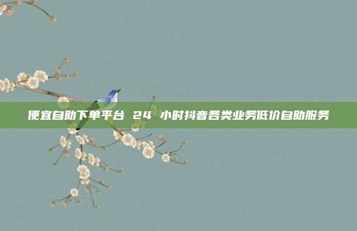 便宜自助下单平台 24 小时抖音各类业务低价自助服务