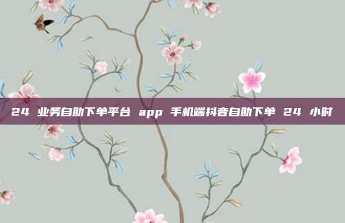 24 业务自助下单平台 app 手机端抖音自助下单 24 小时