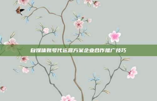 自媒体账号代运营方案企业合作推广技巧