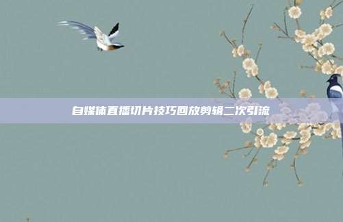自媒体直播切片技巧回放剪辑二次引流