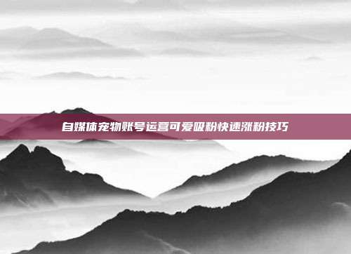 自媒体宠物账号运营可爱吸粉快速涨粉技巧