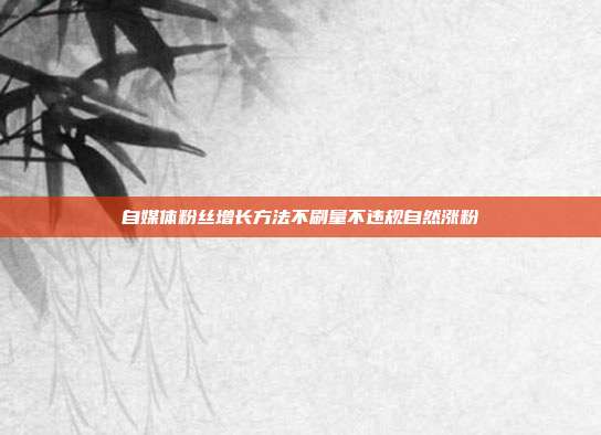自媒体粉丝增长方法不刷量不违规自然涨粉