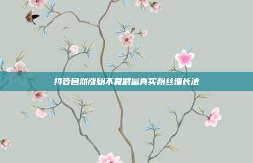抖音自然涨粉不靠刷量真实粉丝增长法