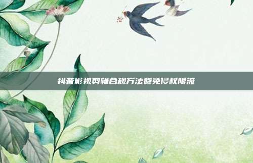 抖音影视剪辑合规方法避免侵权限流