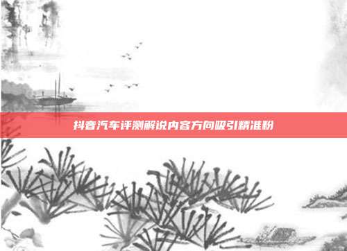 抖音汽车评测解说内容方向吸引精准粉