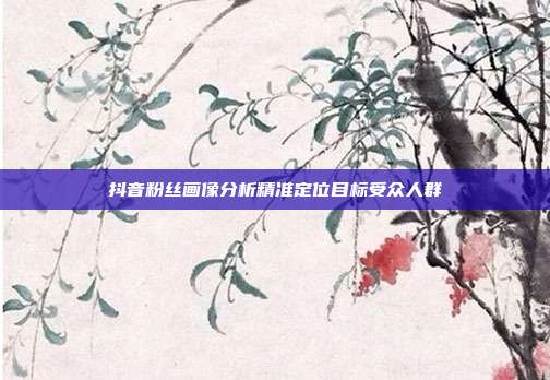 抖音粉丝画像分析精准定位目标受众人群