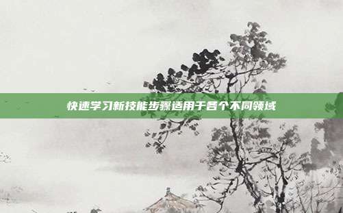 快速学习新技能步骤适用于各个不同领域