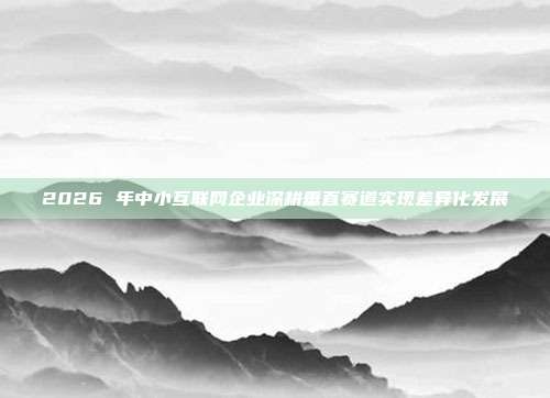 2026 年中小互联网企业深耕垂直赛道实现差异化发展