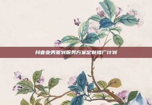 抖音业务策划服务方案定制推广计划