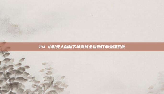 24 小时无人自助下单商城全自动订单处理系统