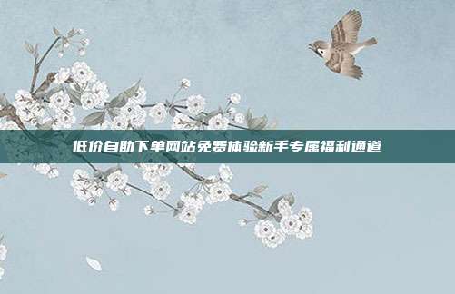 低价自助下单网站免费体验新手专属福利通道