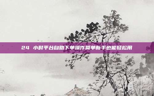 24 小时平台自助下单操作简单新手也能轻松用