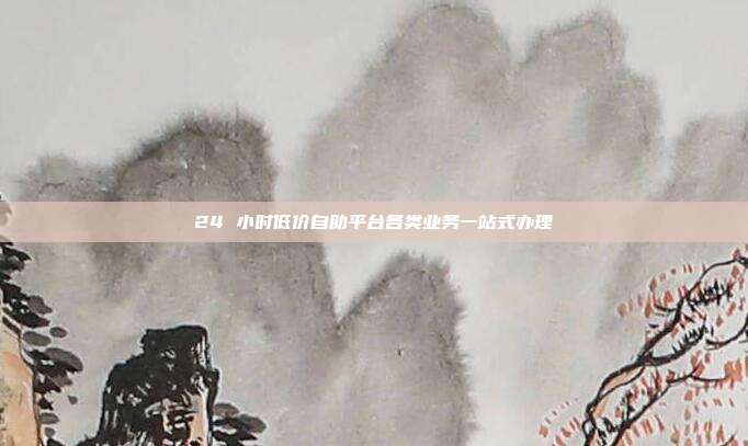 24 小时低价自助平台各类业务一站式办理