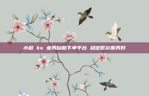 小超 ks 业务自助下单平台 稳定低价服务好
