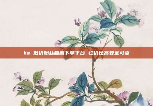 ks 低价粉丝自助下单平台 性价比高安全可靠