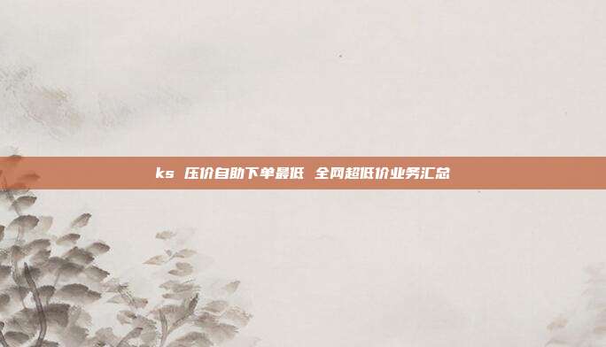 ks 压价自助下单最低 全网超低价业务汇总