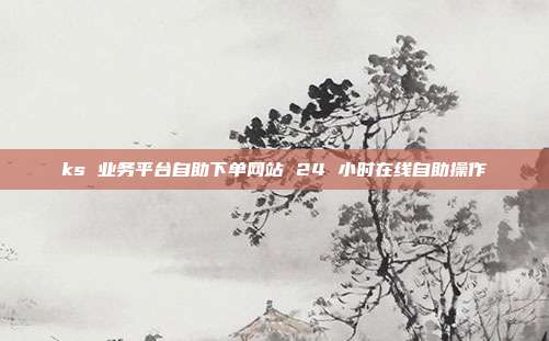 ks 业务平台自助下单网站 24 小时在线自助操作