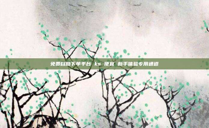 免费自助下单平台 ks 便宜 新手体验专用通道