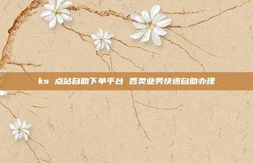 ks 点站自助下单平台 各类业务快速自助办理