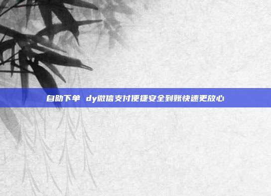 自助下单 dy微信支付便捷安全到账快速更放心
