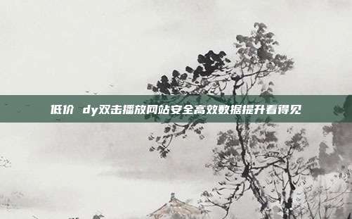 低价 dy双击播放网站安全高效数据提升看得见