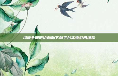 抖音全网低价自助下单平台实惠好用推荐