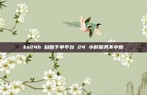 ks24h 自助下单平台 24 小时服务不中断