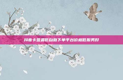 抖音卡盟最低自助下单平台价格低服务好