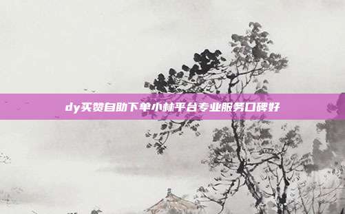 dy买赞自助下单小林平台专业服务口碑好