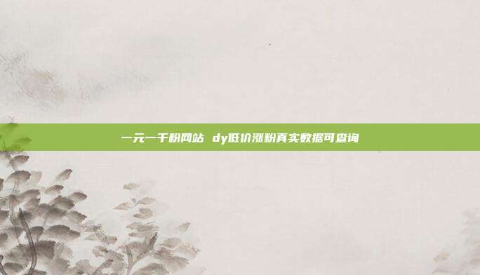 一元一千粉网站 dy低价涨粉真实数据可查询