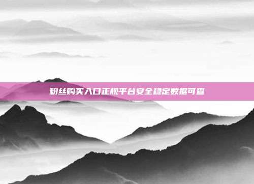 粉丝购买入口正规平台安全稳定数据可查