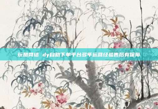 玩酷网络 dy自助下单平台多年运营经验售后有保障