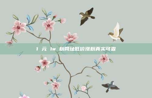 1 元 1w 粉网址低价涨粉真实可查