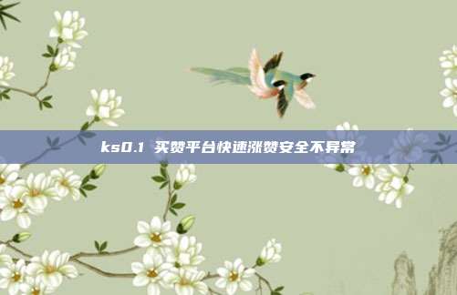ks0.1 买赞平台快速涨赞安全不异常