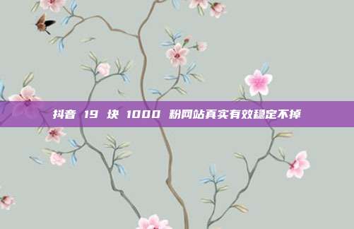 抖音 19 块 1000 粉网站真实有效稳定不掉