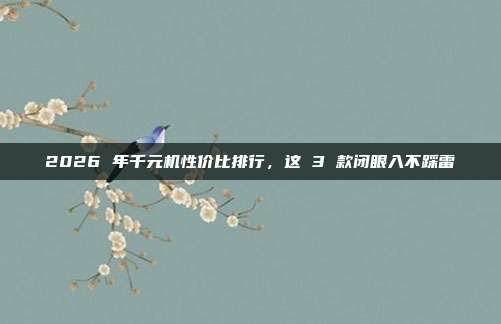 2026 年千元机性价比排行，这 3 款闭眼入不踩雷