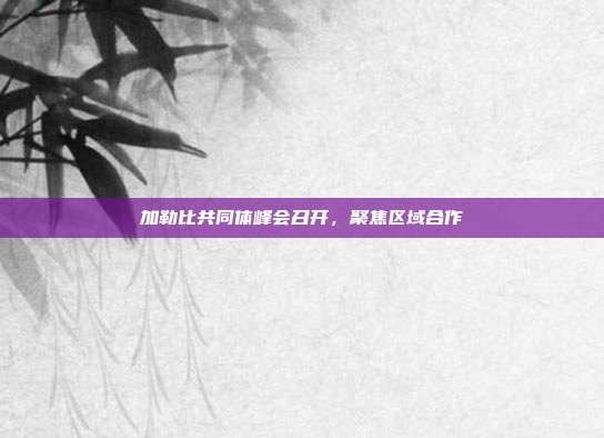 加勒比共同体峰会召开，聚焦区域合作