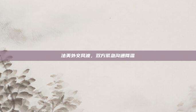 法美外交风波，双方紧急沟通降温