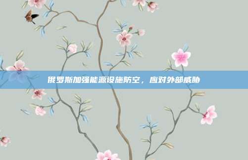 俄罗斯加强能源设施防空，应对外部威胁
