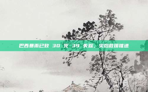 巴西暴雨已致 30 死 39 失踪，灾后救援推进
