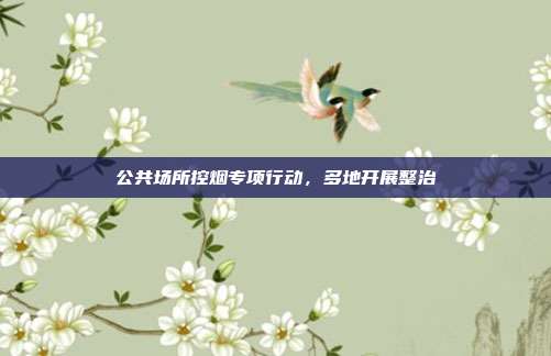 公共场所控烟专项行动,多地开展整治