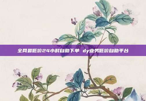 全网最低价24小时自助下单 dy业务低价自助平台