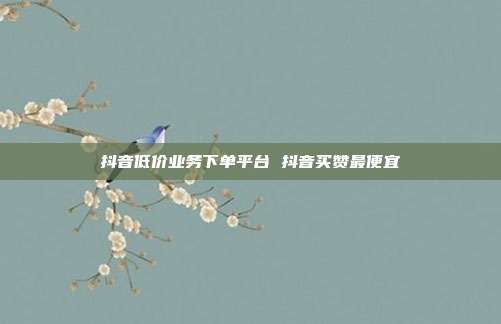 抖音低价业务下单平台 抖音买赞最便宜