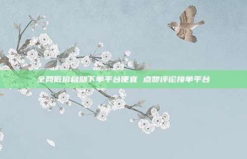 全网低价自助下单平台便宜 点赞评论接单平台