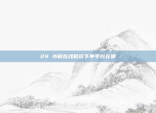 24 小时在线低价下单平台在哪