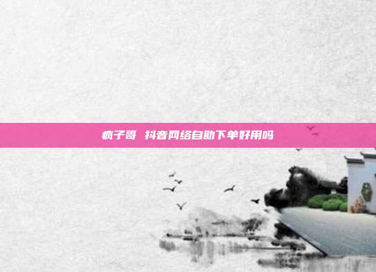 疯子哥 抖音网络自助下单好用吗